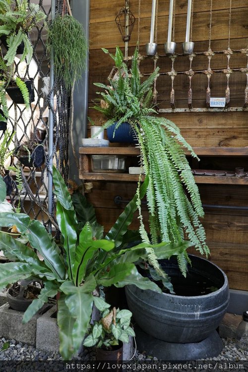 20181027132555_IMG_8076-01.jpeg