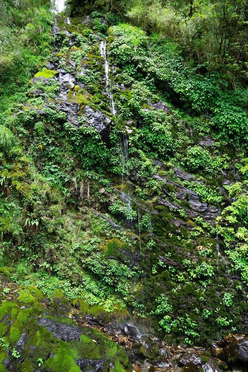 180608-0610 [百岳] 能高主峰、卡賀爾山、尾上山