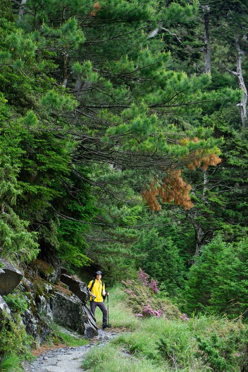 180608-0610 [百岳] 能高主峰、卡賀爾山、尾上山