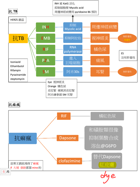 相片 2015-3-31 上午6 38 19.png