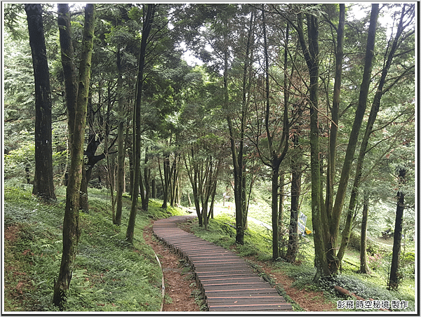 東眼山國家森林遊樂區