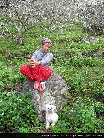 IMG_0888-1.JPG