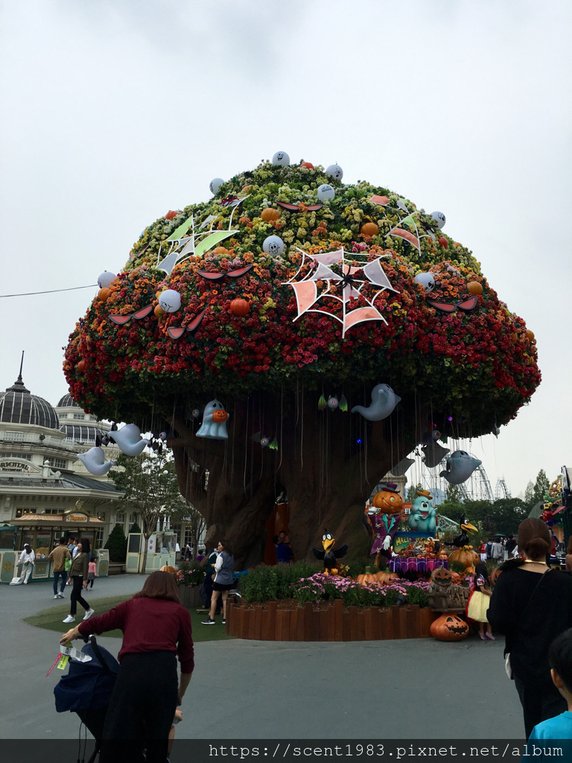 【國外旅遊】韓國「愛寶樂園Everland」全球最陡木軌雲霄