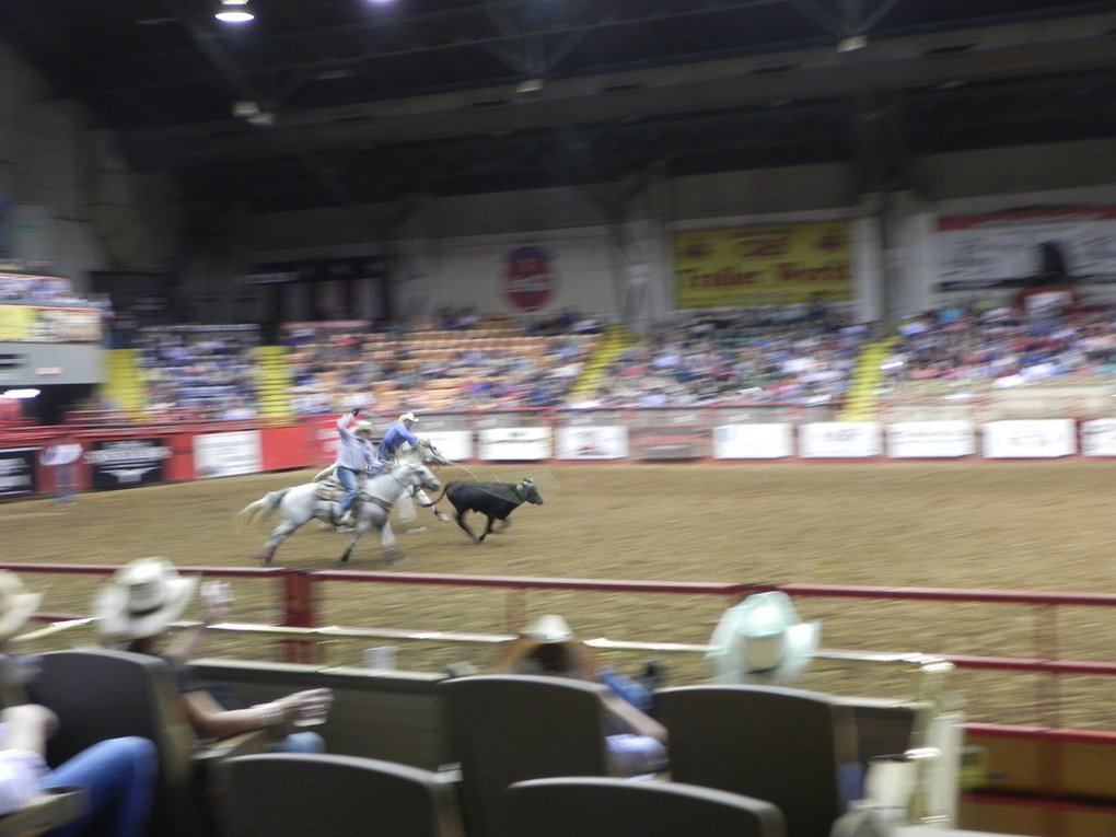 Fort Worth Stockyards 精險刺激的牛仔秀