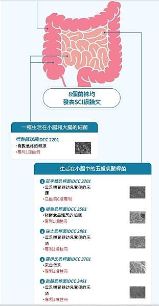 艾多美SCI益生菌