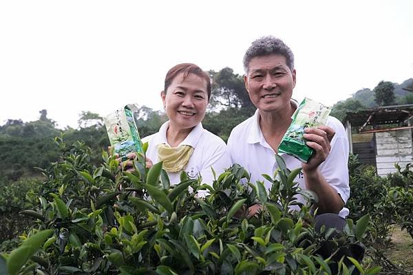 今年碧螺春特等獎由三峽茗茶祥興行奪得