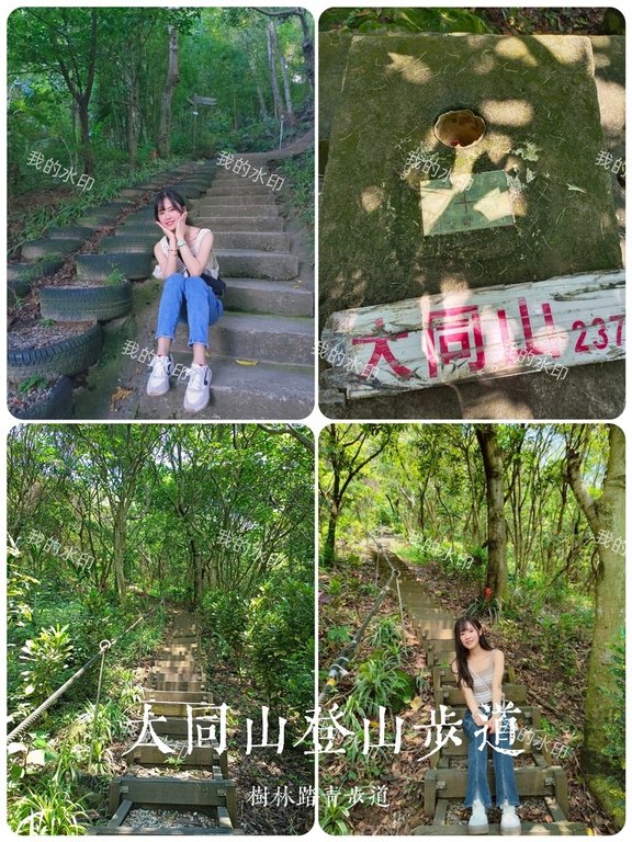 【新北遊】山佳、樹林踏青步道 大同山登山步道｜青龍嶺寮望台+
