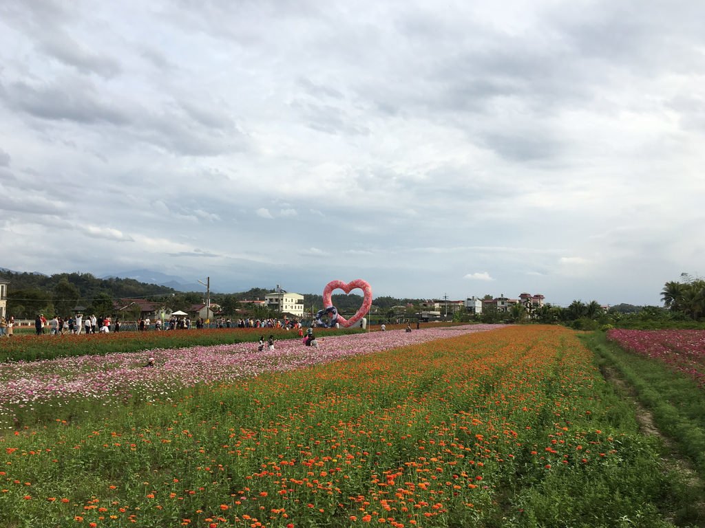 2018美濃花海