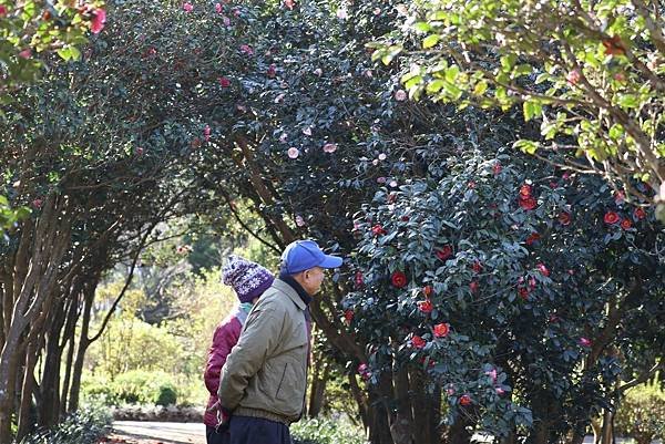 臺北市政府 蔣萬安市長、李四川、林奕華副市長、李泰興秘書長、