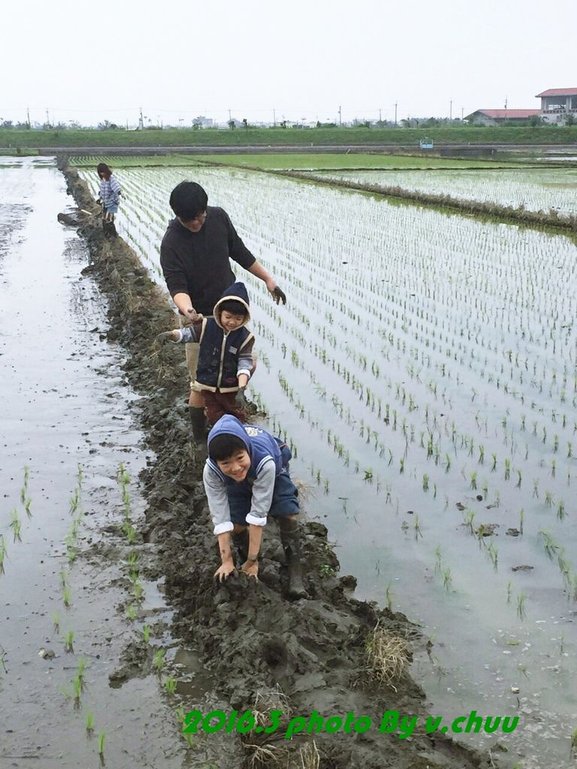 稻田_2007.jpg