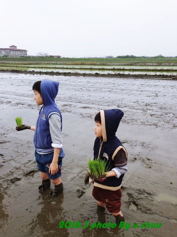 稻田_3038.jpg