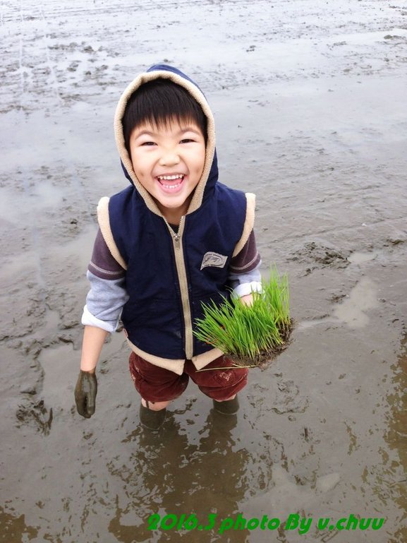 稻田_3952.jpg