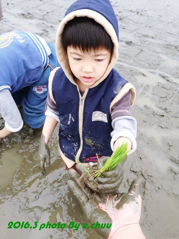 稻田_3824.jpg