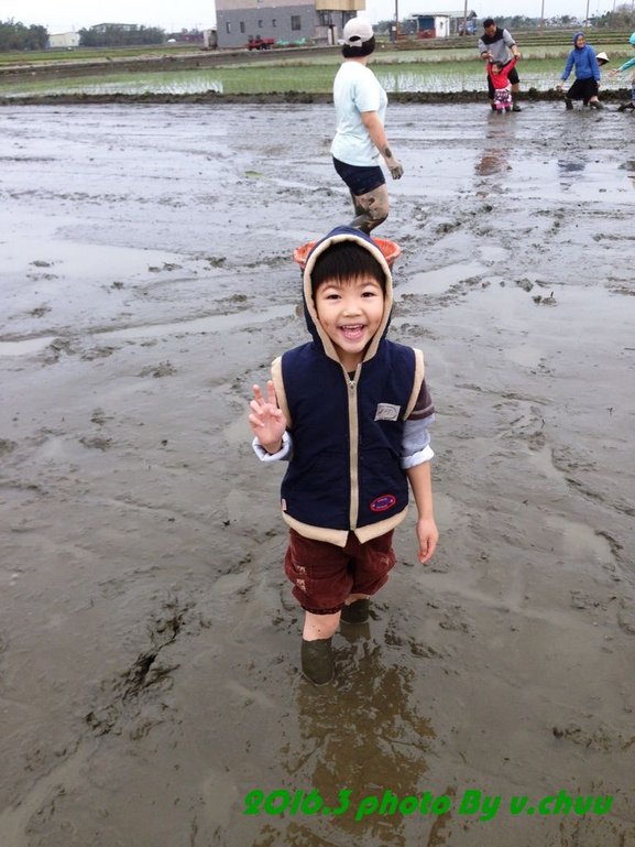 稻田_4925.jpg