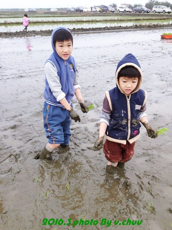 稻田_7052.jpg