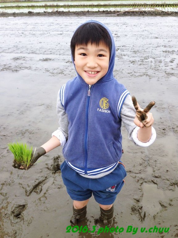 稻田_8049.jpg