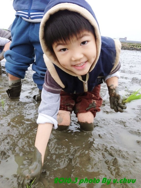 稻田_8467.jpg