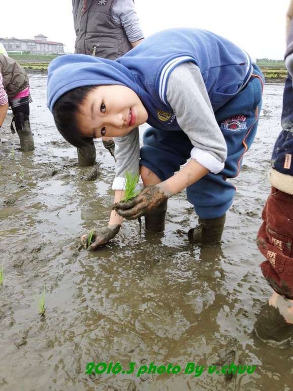 稻田_8983.jpg