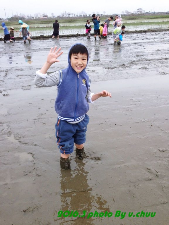 稻田_8714.jpg
