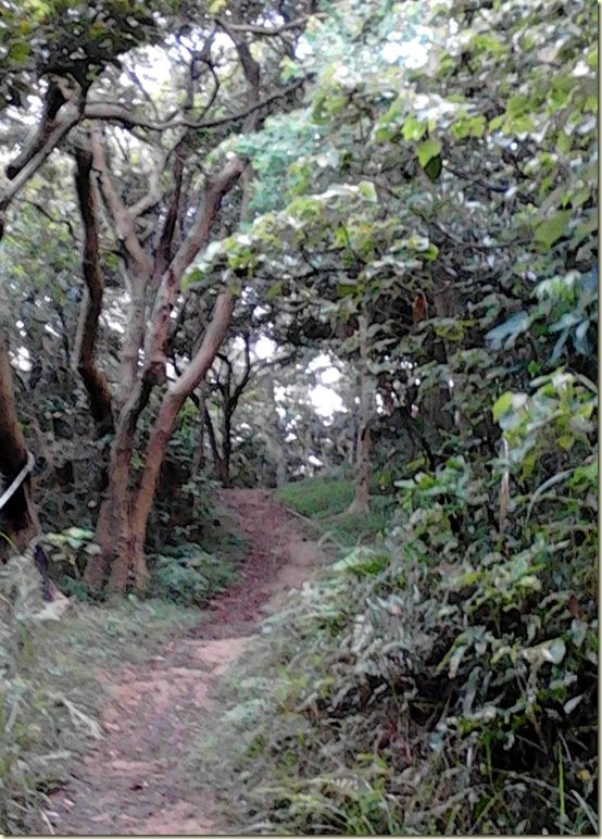 山13