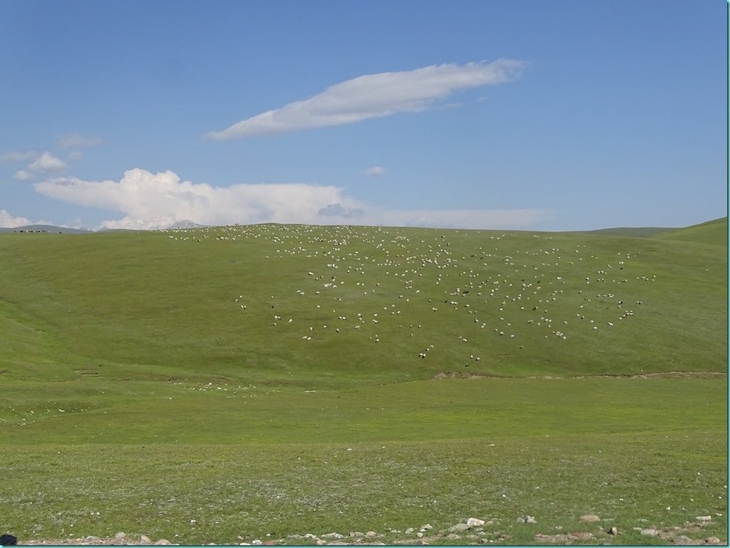 DSC05114