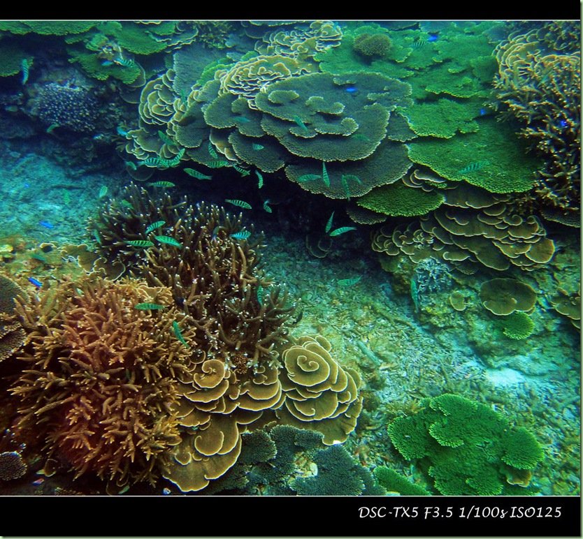 DSC00347-2