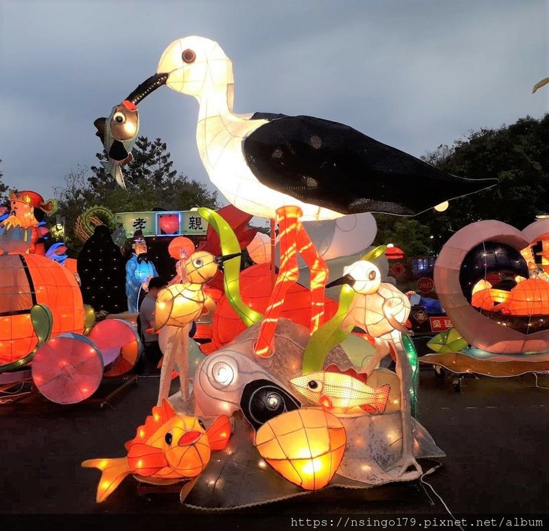 20210426金城鳥語高人一等 (Copy).jpg
