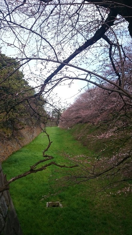 DSC_3001.JPG