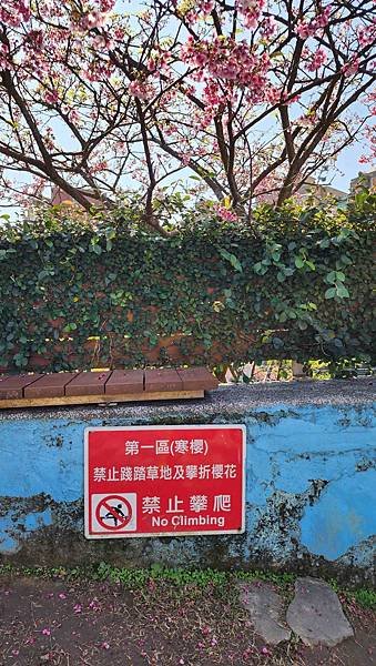 【台北賞櫻景點】東湖樂活公園賞櫻&amp;內溝溪步道粉嫩浪漫櫻花