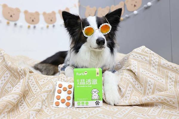 tamaki炯炯有神的小秘密-Furluv 佳犬晶透澈