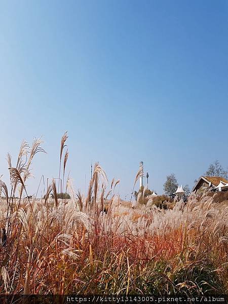 天空公園 하늘공원