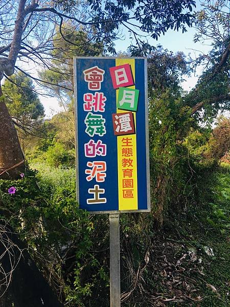 【南投日月潭特色民宿推薦】在跳舞的土壤上，尋找與大自然共存的