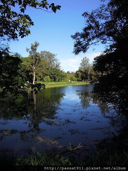 20130728台東森林公園_0161_調整大小.jpg
