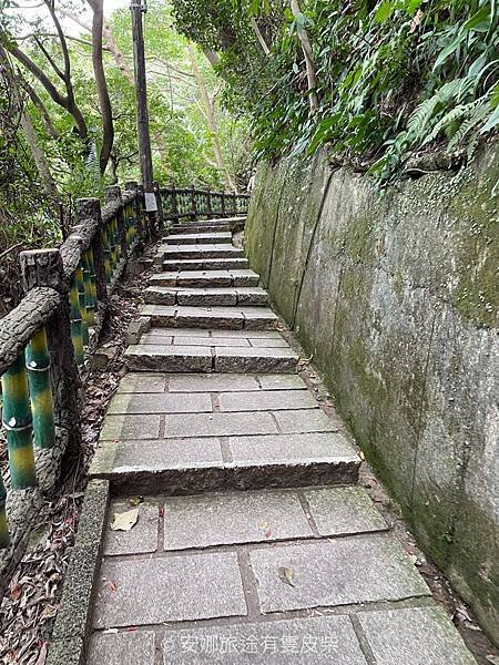 【寵物毛孩。士林劍潭山親山步道】捷運劍潭站 圓山風景區 微風