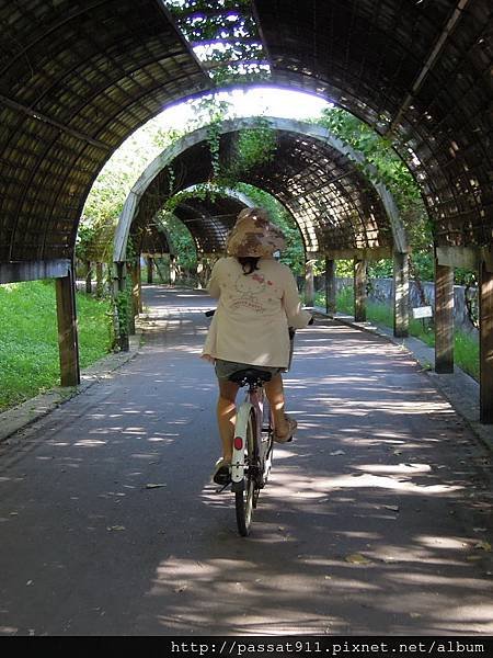 20130728台東森林公園_0060_調整大小.jpg