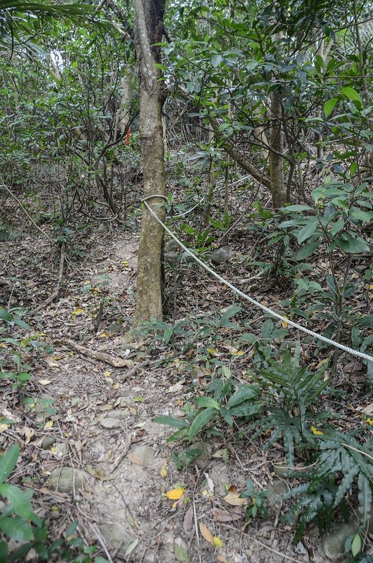 水坑廣山登山山徑 (2)