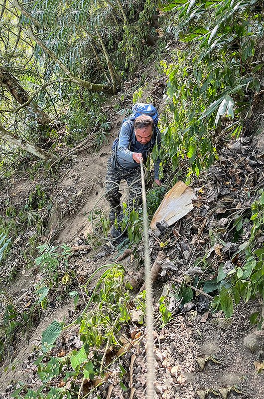 掘沓山登山山徑 (9)