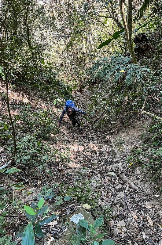 掘沓山山腰乾溪溝 (3)