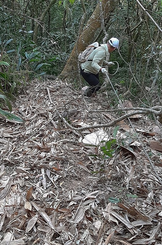 掘沓山登山山徑 (7)