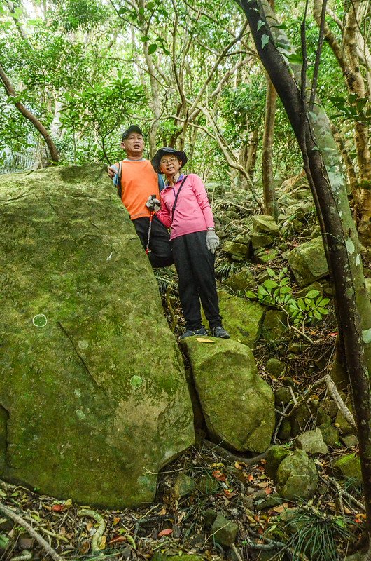 豬老束山登山山徑 (1)