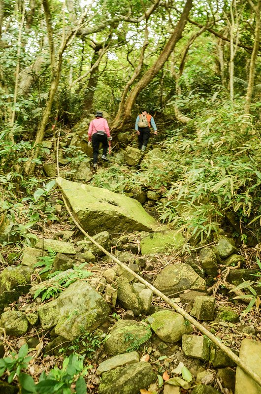 豬老束山乾溪溝 (1)