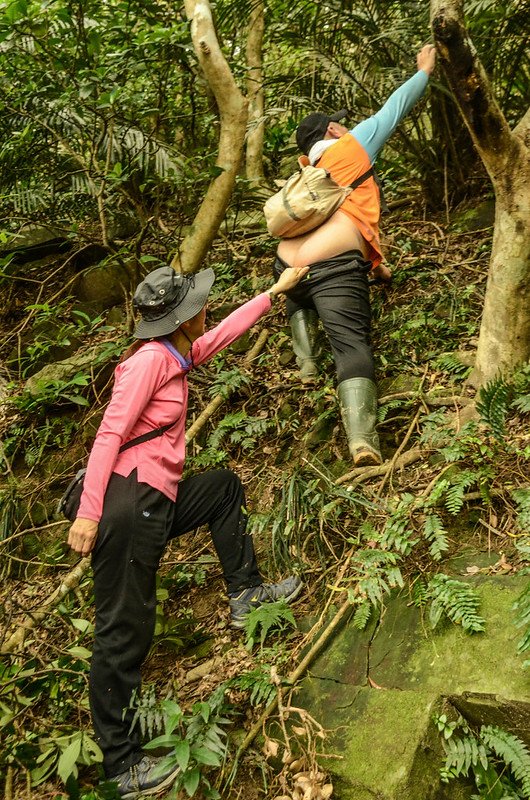 豬老束山登山山徑 (3)