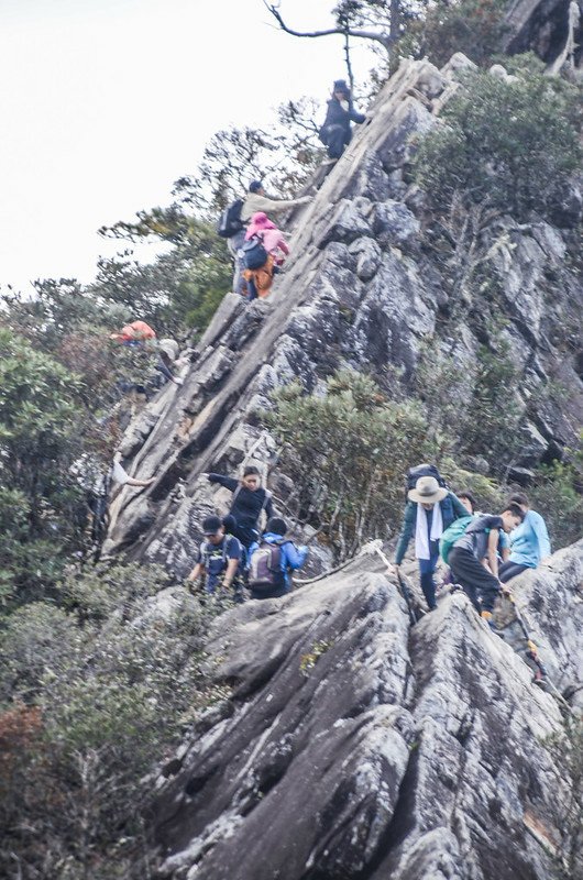 鳶嘴稍來山步道 (107)