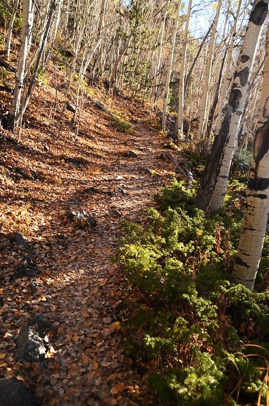 Watrous Gulch Trail (2)