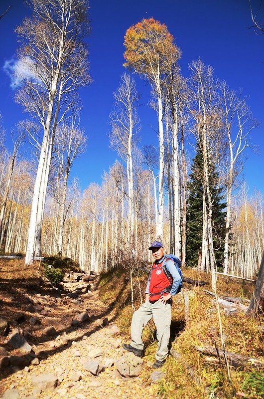 Taken from Lily Pad Lake Trail (5)