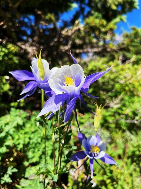 Blue Lake Hike (by Yi Chieh) (9)