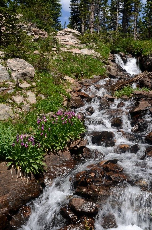 Cascades along the trail (1)