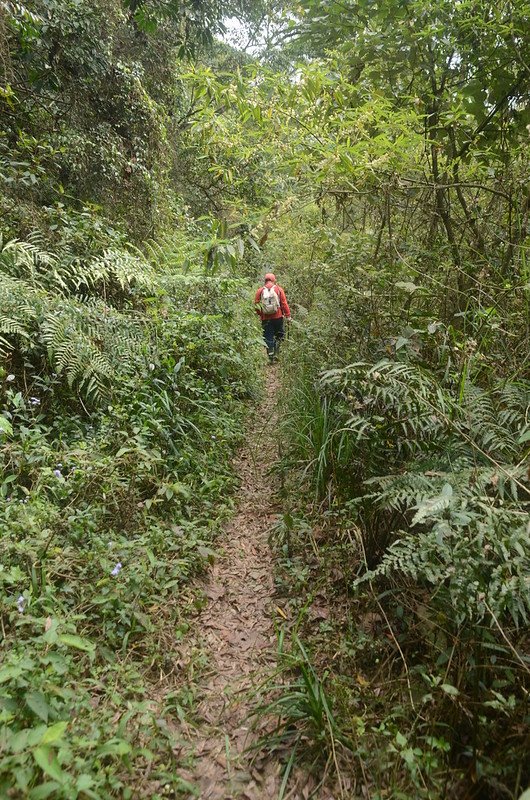 日湯真山西南峰廢產道 (1)