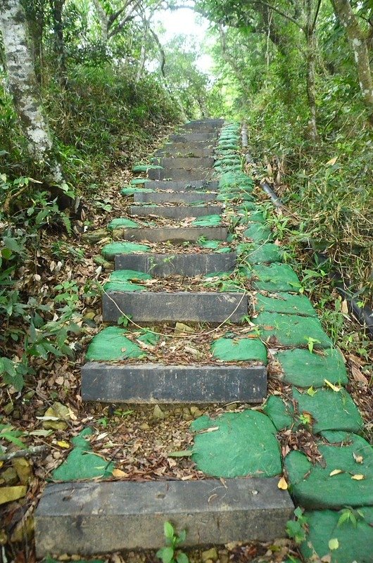 熊佧山登山路徑 (2)