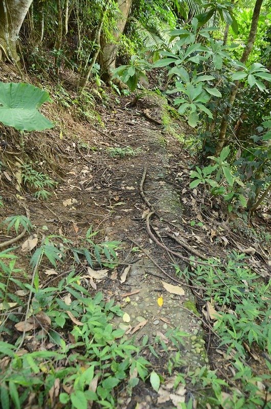 象山破損水泥路